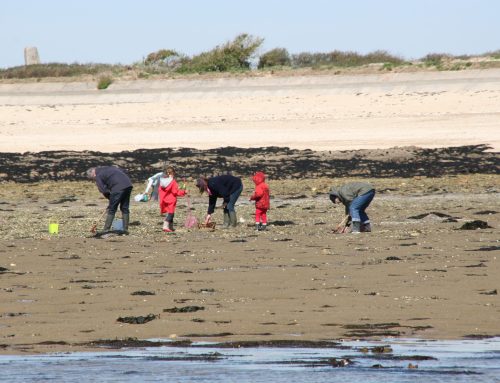 Grain d&rsquo;café sur le thème de la « Pêche à pied et Biodiversité »